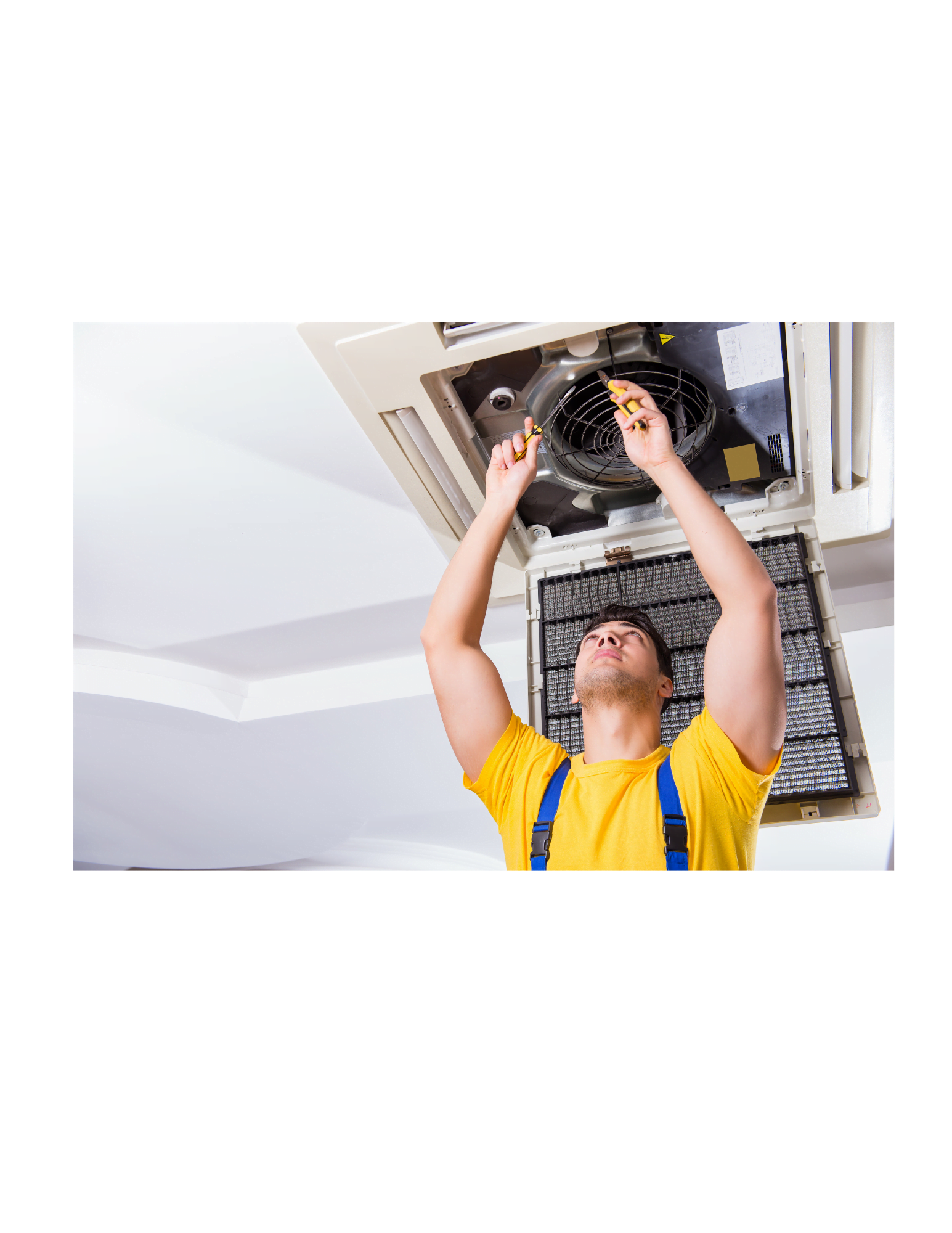 Next Level Spring Cleaning Tips from your Eco Friendly Air Conditioning and Heating Team!